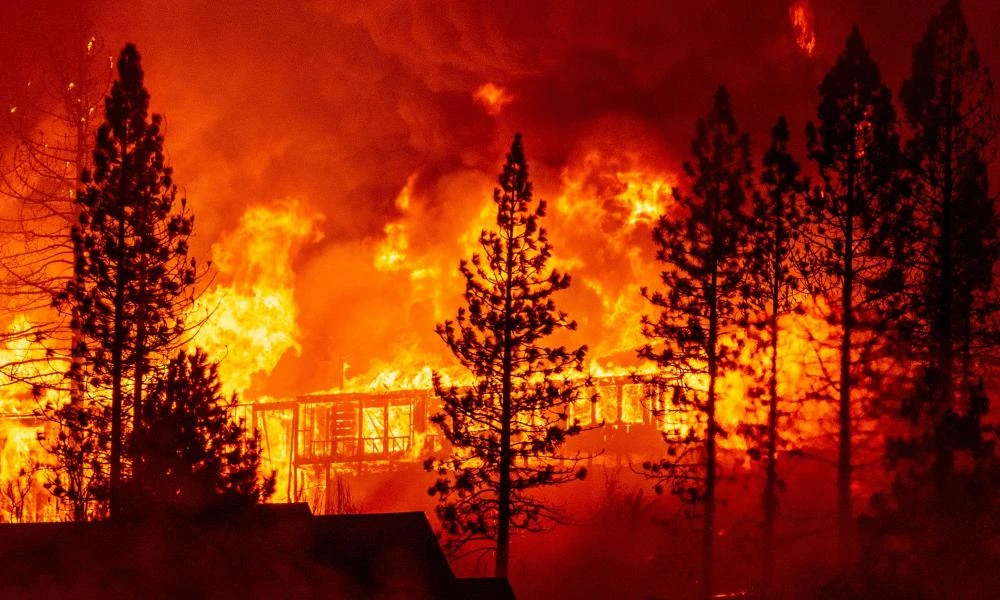 Η πιο φονική δασική πυρκαγιά όλων των εποχών - Σκότωσε τα παιδιά του για να μην καούν